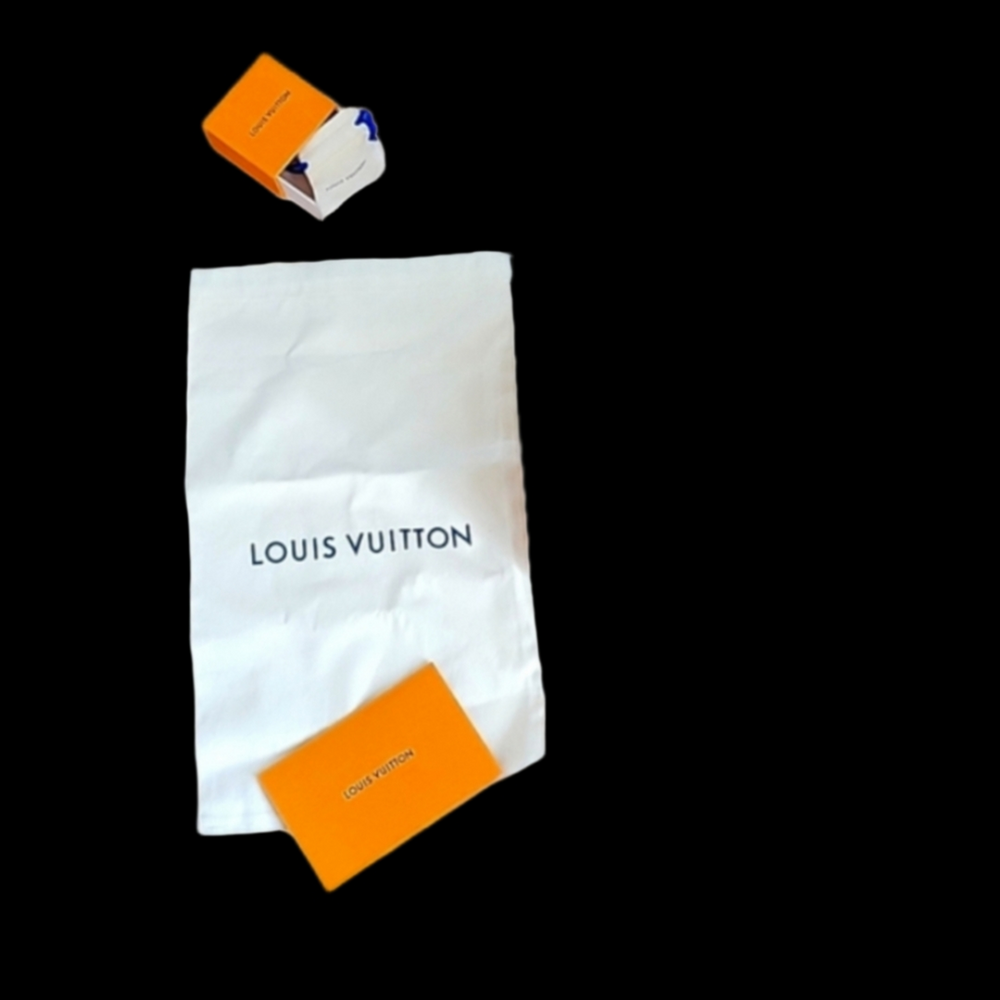Louis Vuitton bundle dust bag, jewelry box, bag, all empty